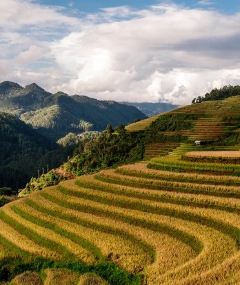 Top things to do in Sapa